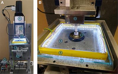 Influence of Chemical Heterogeneity and Third Body on Adhesive Strength: Experiment and Simulation